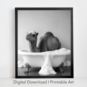 Camel in Tub Printable Wall Art Camel Photo Set of 4 Instant Download